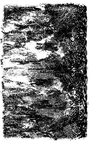 Soyut arkaplan. Monokrom dokusu. Siyah ve beyaz desenli arkaplan. 