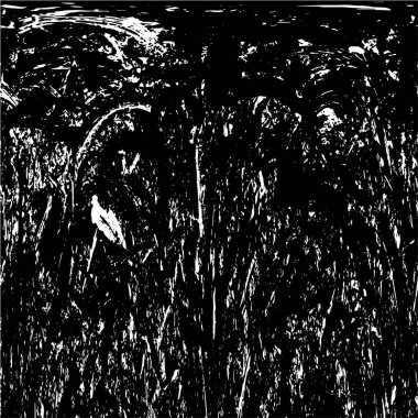 siyah ve beyaz grunge arkaplanı 