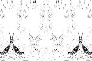 Grunge siyah beyaz doku şablon. 