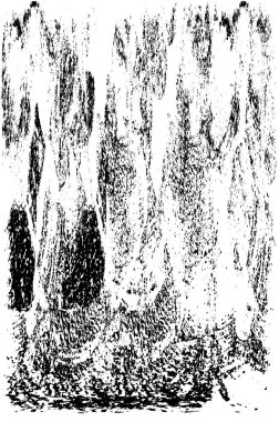 Grunge siyah beyaz doku şablon. 