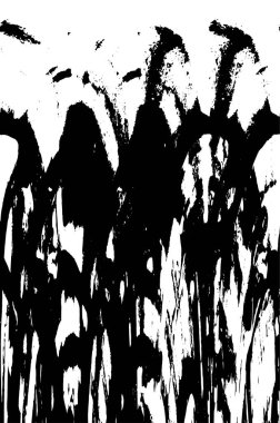 Grunge siyah beyaz doku şablon. 