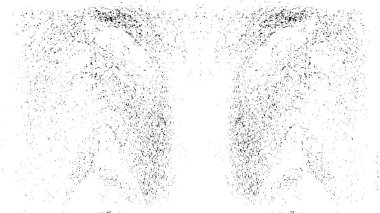 Grunge siyah beyaz doku şablon. 