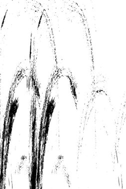 Grunge siyah beyaz doku şablon. 