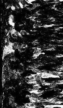 siyah ve beyaz grunge arkaplanı 