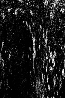 siyah ve beyaz grunge arkaplanı 