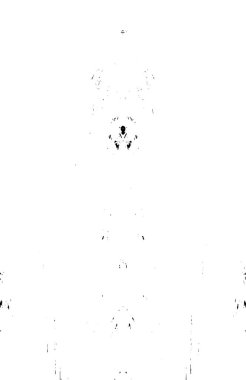 Grunge dikey olarak simetrik siyah beyaz doku. Tek renkli yıpranmış kaplama deseni. 