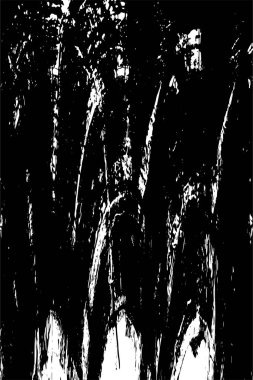 monokrom soyut arkaplan, siyah ve beyaz grunge deseni.