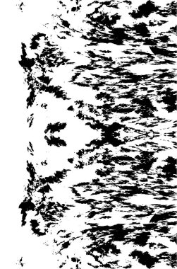 siyah ve beyaz grunge arkaplanı 