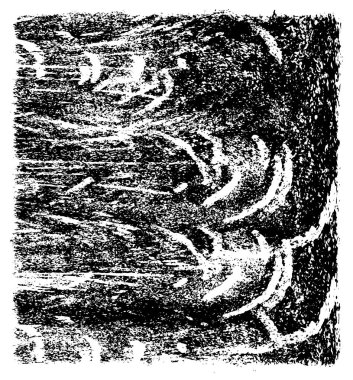 Soyut grunge arkaplanı. Monokrom dokusu. Resim siyah ve beyaz tonları içerir. 