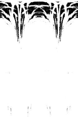 Grunge dikey olarak simetrik siyah beyaz doku. Tek renkli yıpranmış kaplama deseni. 