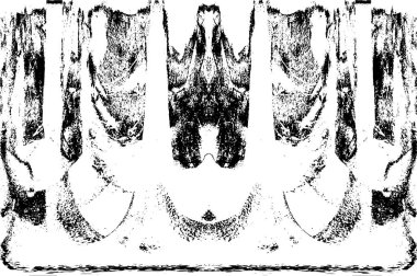 Grunge dikey olarak simetrik siyah beyaz doku. Tek renkli yıpranmış kaplama deseni. 