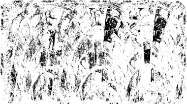 Soyut grunge arkaplanı. Monokrom dokusu. Siyah ve beyaz desenli arkaplan 