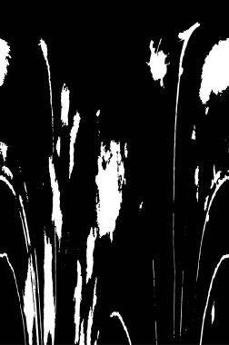 siyah ve beyaz grunge arkaplanı 