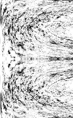 siyah ve beyaz grunge arkaplanı 