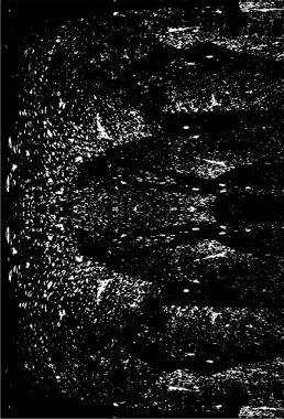 Siyah ve beyaz dokular. Soyut arkaplanın sıkıntı dokusu. 