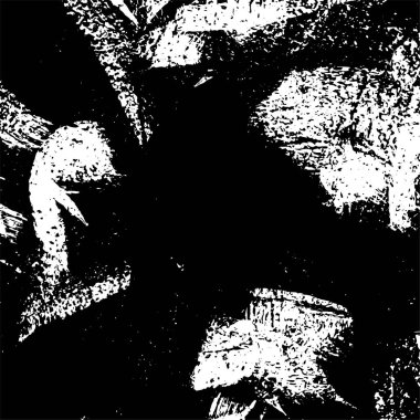 Siyah ve beyaz dokular. Soyut arkaplanın sıkıntı dokusu. 