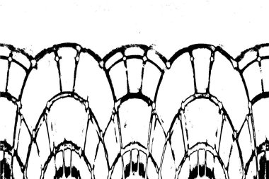 Siyah ve beyaz dokular. Soyut arkaplanın sıkıntı dokusu. 