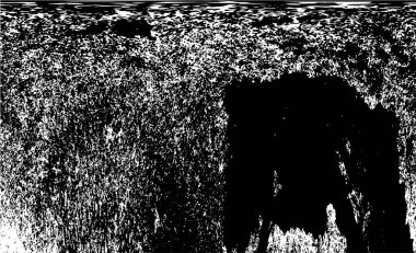 Siyah ve beyaz dokular. Soyut arkaplanın sıkıntı dokusu. 