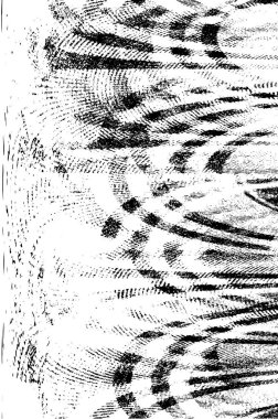 Siyah beyaz dokusunda sıkıntılı bir arka plan. soyut vektör illüstrasyonu. 