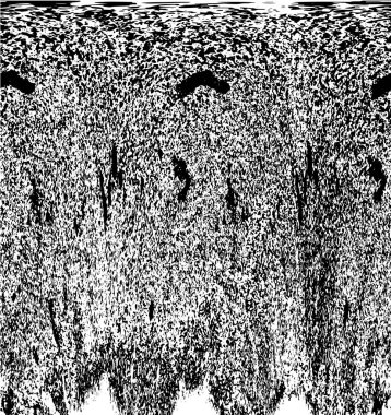 Siyah beyaz dokusunda sıkıntılı bir arka plan. soyut vektör illüstrasyonu. 