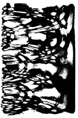 Soyut grunge arkaplanı. monokrom dokusu. resim efekti siyah ve beyaz tonlar. 