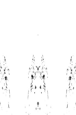 Grunge dikey olarak simetrik siyah beyaz doku. Tek renkli yıpranmış kaplama deseni. 