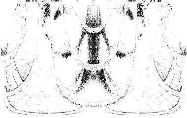 Grunge dikey olarak simetrik siyah beyaz doku. Tek renkli yıpranmış kaplama deseni. 