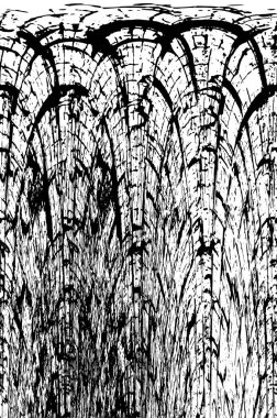 Grunge üst üste biniyor. Soyut siyah-beyaz vektör arkaplanı. Çatlak, leke ve noktalarda kirli desenli tek renkli klasik yüzey. Karanlık korku tarzında eski bir duvar.