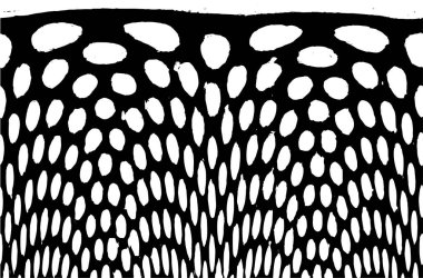 Grunge üst üste biniyor. Soyut siyah-beyaz vektör arkaplanı. Çatlak, leke ve noktalarda kirli desenli tek renkli klasik yüzey. Karanlık korku tarzında eski bir duvar.