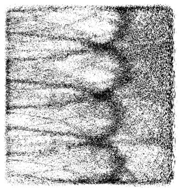 Siyah ve beyaz grunge arka plan, vektör çizim 