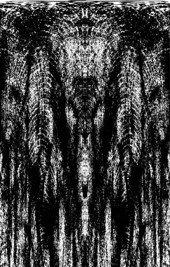 Grunge dikey olarak simetrik siyah beyaz doku. Tek renkli yıpranmış kaplama deseni. 