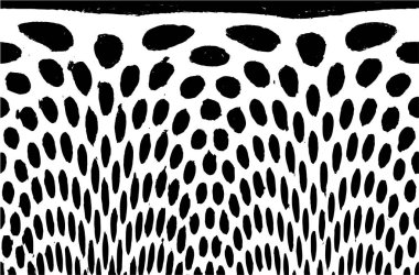 Soyut arkaplan. monokrom dokusu. resim siyah ve beyaz tonları içerir. 