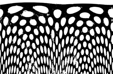 Soyut arkaplan. monokrom dokusu. resim siyah ve beyaz tonları içerir. 