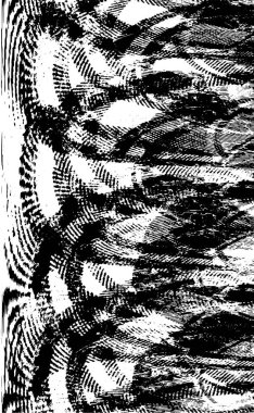 Soyut grunge arkaplanı. Monokrom dokusu. Siyah ve beyaz desenli arkaplan