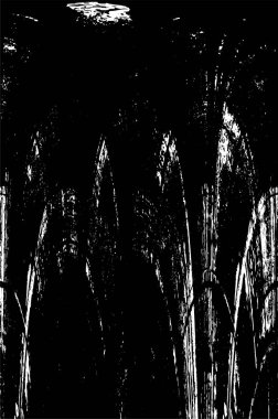 Soyut arkaplan. monokrom dokusu. resim siyah ve beyaz tonları içerir.