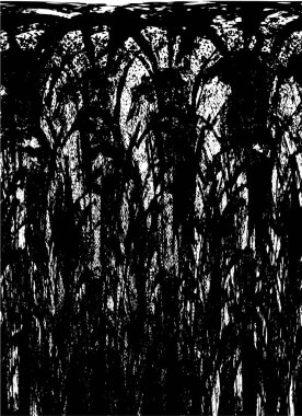 Soyut arkaplan. monokrom dokusu. resim siyah ve beyaz tonları içerir.