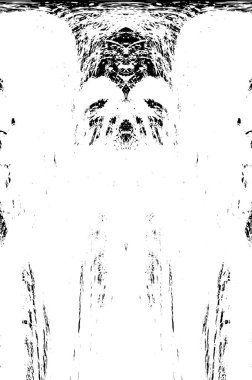 Grunge dikey olarak simetrik siyah beyaz doku. Tek renkli yıpranmış kaplama deseni. 