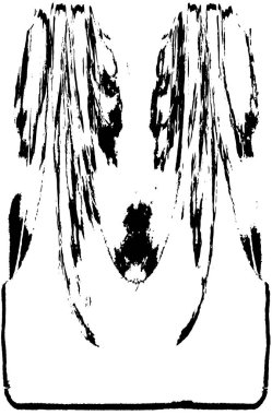 soyut siyah ve beyaz arkaplan dokusu