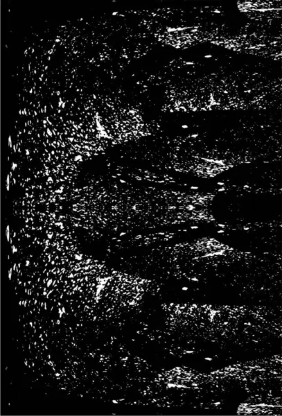 Siyah ve beyaz dokular. Soyut arkaplanın sıkıntı dokusu. 