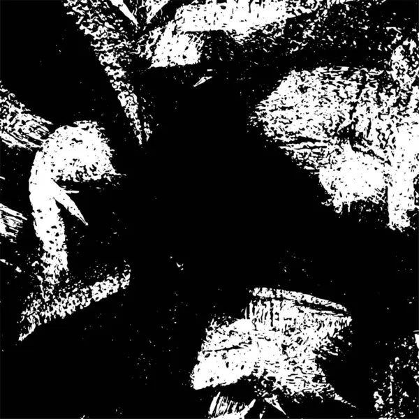 Siyah ve beyaz dokular. Soyut arkaplanın sıkıntı dokusu. 