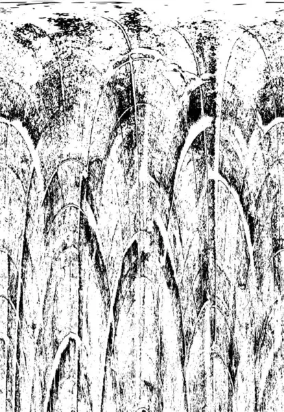 Soyut arkaplan. monokrom dokusu. resim siyah ve beyaz tonları içerir.