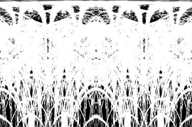 Grunge dikey olarak simetrik siyah beyaz doku. Tek renkli yıpranmış kaplama deseni. 