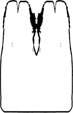 siyah ve beyaz grunge arkaplan dokusu