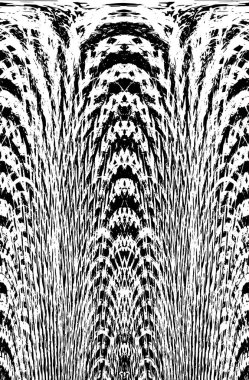 Grunge dikey olarak simetrik siyah beyaz doku. Tek renkli yıpranmış kaplama deseni. 