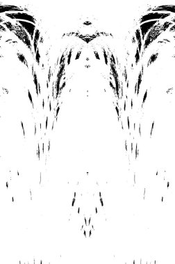 Grunge dikey olarak simetrik siyah beyaz doku. Tek renkli yıpranmış kaplama deseni. 