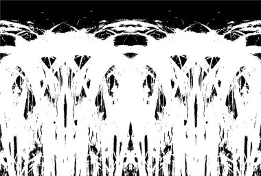 Grunge dikey olarak simetrik siyah beyaz doku. Tek renkli yıpranmış kaplama deseni. 