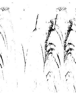 Eski grunge klasik eskimiş doku arka planı siyah ve beyaz renklerde