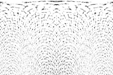 Grunge dikey olarak simetrik siyah beyaz doku. Tek renkli yıpranmış kaplama deseni. 