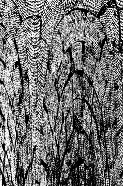 Grunge Siyah ve Beyaz Şehir Vektör Doku Şablonu. Çatlakların, lekelerin, çiplerin, çizgilerin koyu arkaplanı.