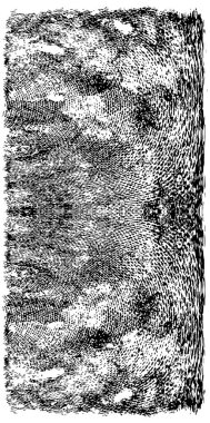 Soyut arkaplan. monokrom dokusu. resim siyah ve beyaz tonları içerir. 